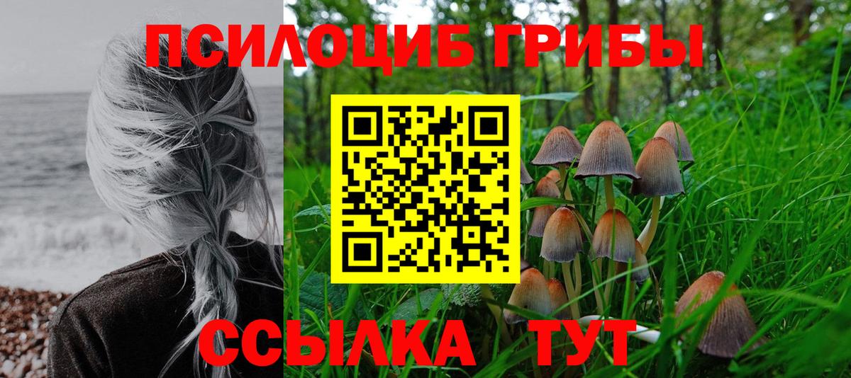 Псилоцибиновые грибы ЛСД  Вход с VPN  Элиста 